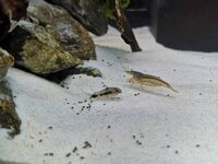 IMG_20190812_205024.jpg IMG_20190812_205024.jpg