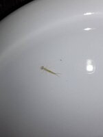 20190813_155156.jpg