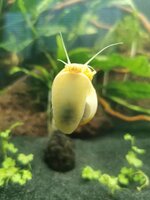 IMG_20190813_204158.jpg