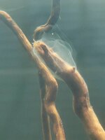 IMG_20190813_210346.jpg
