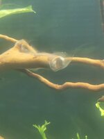 IMG_20190813_210308.jpg