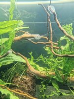 IMG_20190814_220230.jpg