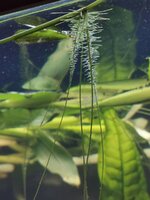 IMG_20190815_211757.jpg
