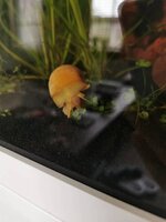 IMG_20190817_100124.jpg