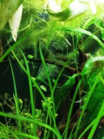 IMG_20190914_202619.jpg