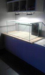 20180731_204634.jpg