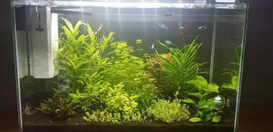 20191225_130739.jpg
