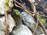 IMG_20190630_112837.jpg IMG_20190630_112837.jpg