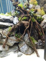 IMG_20190630_112907.jpg IMG_20190630_112907.jpg