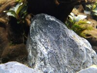 IMG_20190630_113022.jpg IMG_20190630_113022.jpg