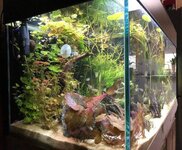 IMG_1090.JPEG