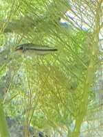 20191129_214956.jpg