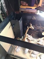 IMG_20191012_205858.jpg