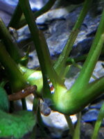 20200104_144021.jpg