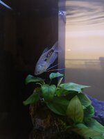 IMG_20200113_202619.jpg