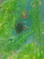 IMG_20200111_094835.jpg