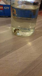 IMG-20200120-WA0010.jpeg