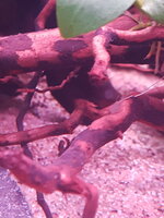 20200312_170330.jpg