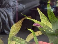 D9603DB5-8BB1-4B39-8978-671D6D022A81.jpeg