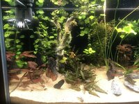 IMG_1343.JPEG