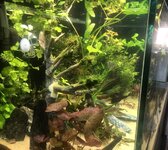 IMG_1344.JPEG