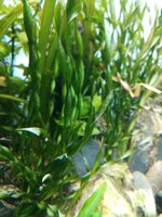 IMG_20200410_202353.jpg