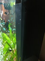 IMG_20200428_182700.jpg