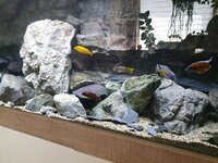 20200502_143647.jpg