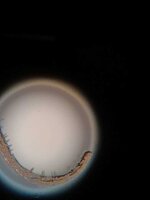 midden + staart.jpeg