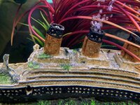 IMG_7851.JPG