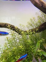 IMG_2057.jpg