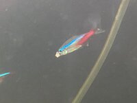 EC0E09E4-5303-49EF-A5CF-4D4999353292.jpeg
