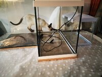 IMG_20200524_185814.jpg IMG_20200524_185814.jpg