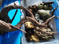 IMG_20200524_185703.jpg IMG_20200524_185703.jpg