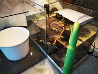 IMG_20200524_191742.jpg IMG_20200524_191742.jpg