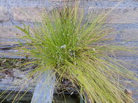 P5294201.JPG
