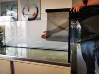 IMG_20200529_155421.jpg IMG_20200529_155421.jpg