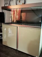 IMG_20200529_171337.jpg IMG_20200529_171337.jpg