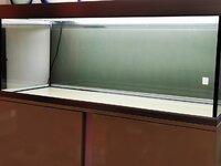 IMG_20200529_171519.jpg IMG_20200529_171519.jpg