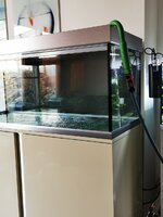 IMG_20200529_182035.jpg IMG_20200529_182035.jpg