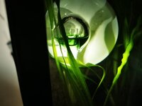 IMG_20200601_083217.jpg IMG_20200601_083217.jpg