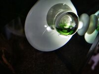 IMG_20200601_083156.jpg IMG_20200601_083156.jpg