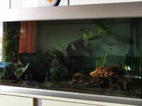 IMG_20200601_084505.jpg IMG_20200601_084505.jpg