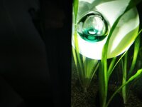 IMG_20200531_174615.jpg IMG_20200531_174615.jpg