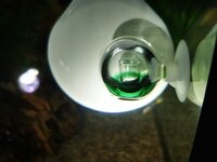 IMG_20200531_174540.jpg IMG_20200531_174540.jpg