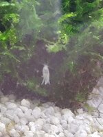 IMG_20200529_162509.jpg