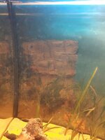 20200605_205454.jpg