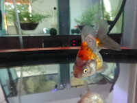 DSC03108.JPG