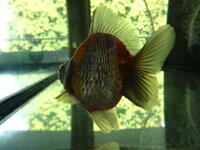 DSC03104.JPG