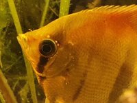 20200518_231914.jpg